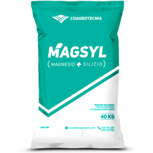 Magsyl Fertilizante Ecológico y Enmienda 100% Natural con Silicio, Sulfato, Calcio y Magnesio para todo tipo de cultivo como banano, arroz, maíz, cacao, papa, pitajaya, melón , sandia, tomate, cebolla, lechuga, y flores.